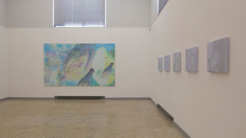 Ausstellungsansicht «Annatina Graf - Traversata», Einzelausstellung, Kunstmuseum Solothurn, 2015.