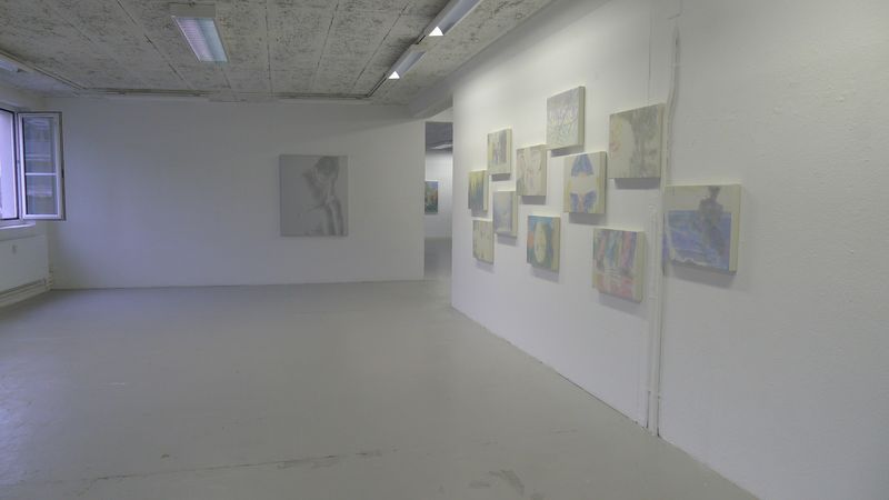 Annatina Graf, MOMENTS, Soloshow, Galerie Chelsea Laufen, 2013