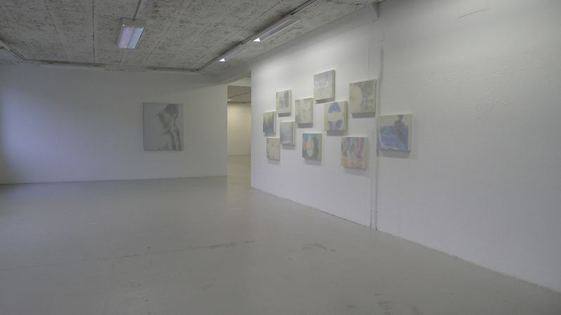 Annatina Graf, MOMENTS, Soloshow, Galerie Chelsea Laufen, 2013