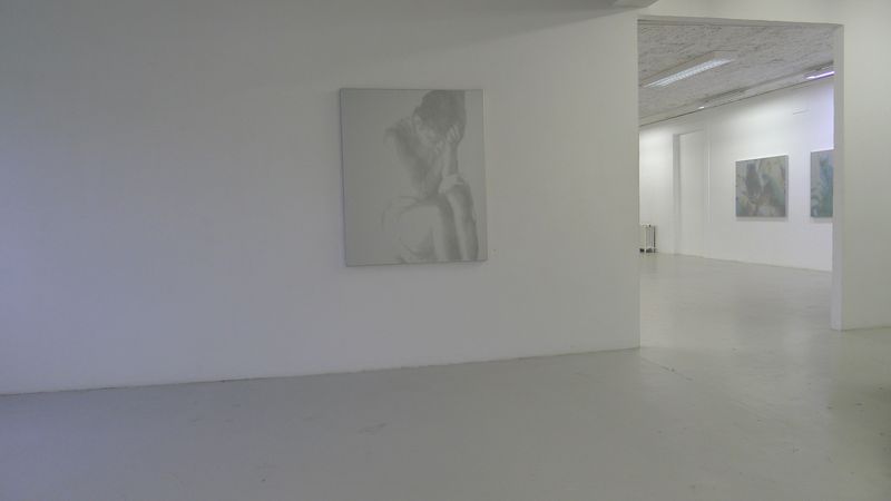 Annatina Graf, MOMENTS, Soloshow, Galerie Chelsea Laufen, 2013