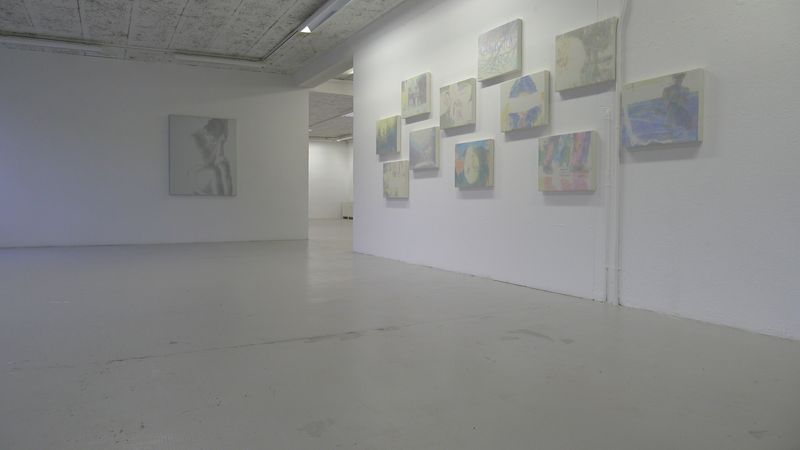 Annatina Graf, MOMENTS, Soloshow, Galerie Chelsea Laufen, 2013