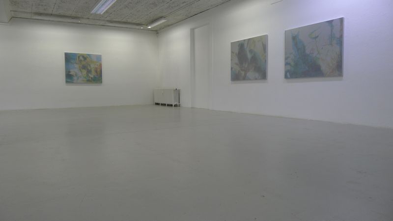 Annatina Graf, MOMENTS, Soloshow, Galerie Chelsea Laufen, 2013