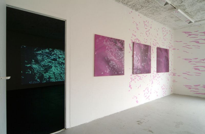 Annatina Graf, COSÌ BELLO, COSÌ PERICOLOSO, Soloshow, Galerie Chelsea, 2004, Foto: Patrik Hänggi, Laufen