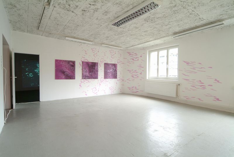 Annatina Graf, COSÌ BELLO, COSÌ PERICOLOSO, Soloshow, Galerie Chelsea, 2004, Foto: Patrik Hänggi, Laufen