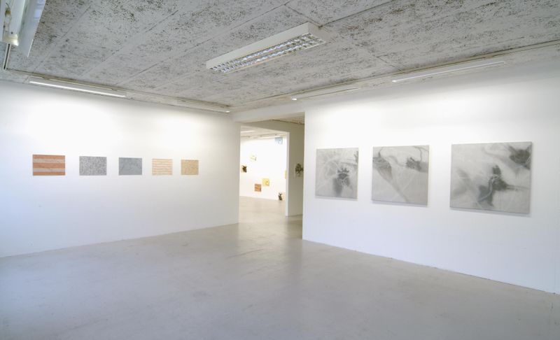 Annatina Graf, COSÌ BELLO, COSÌ PERICOLOSO, Soloshow, Galerie Chelsea, 2004, Foto: Patrik Hänggi, Laufen