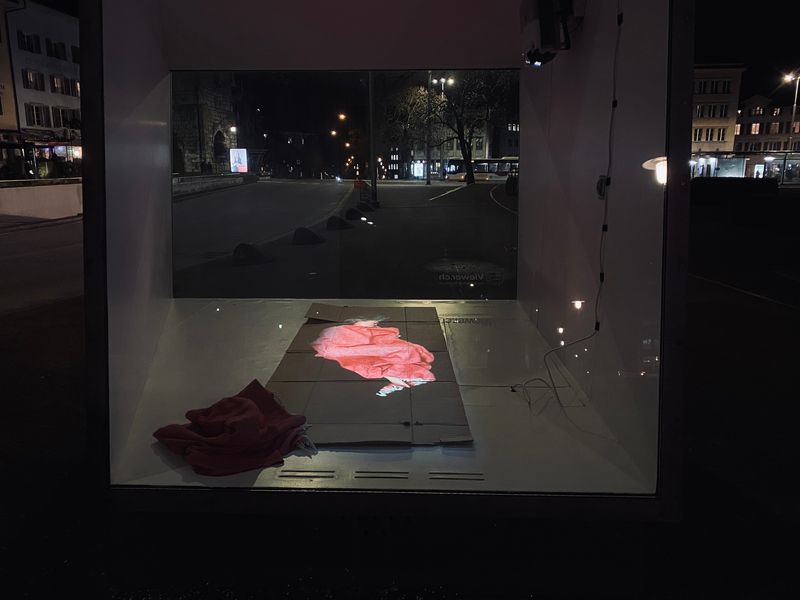 Annatina Graf. ANOTHER WORLD. 2021. Videoinstallation im Viewer des Kunstvereins Solothurn, Amthausplatz Solothurn. Januar bis März 2022.