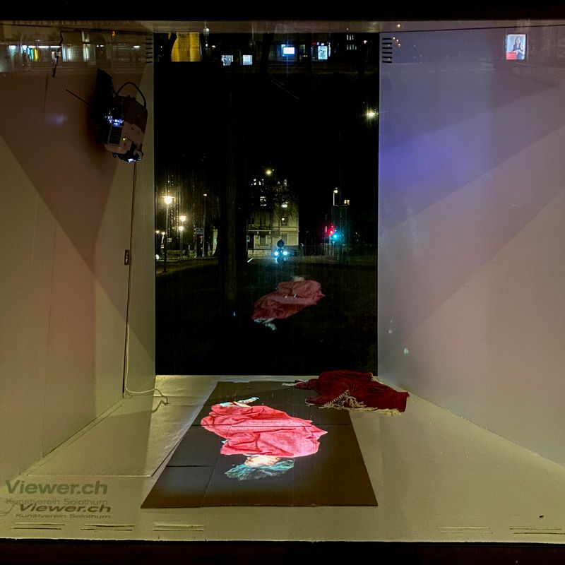 Annatina Graf. ANOTHER WORLD. 2021. Videoinstallation im Viewer des Kunstvereins Solothurn, Amthausplatz Solothurn. Januar bis März 2022.