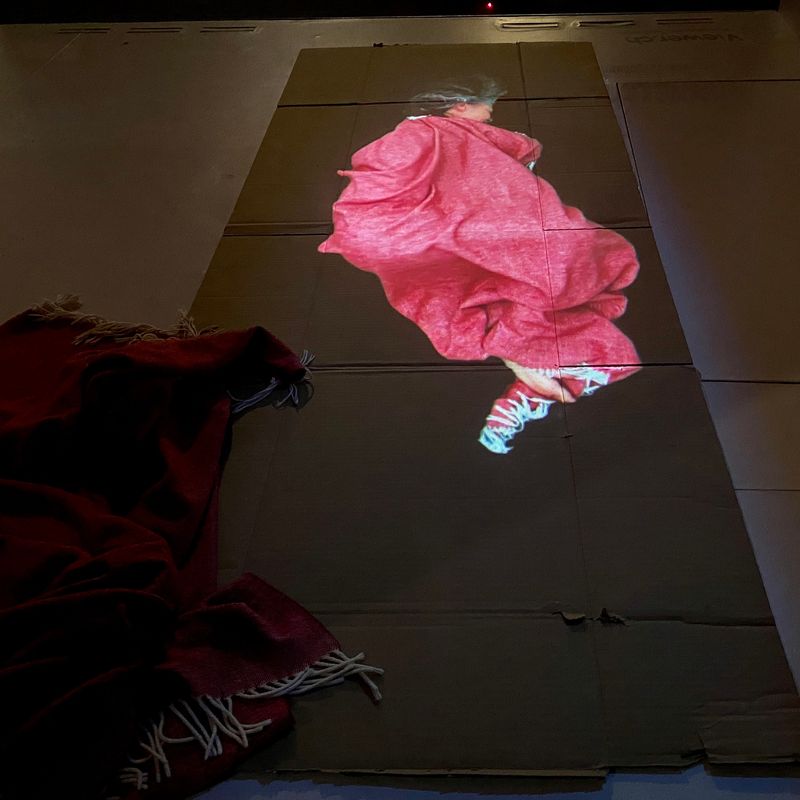 Annatina Graf. ANOTHER WORLD. 2021. Videoinstallation im Viewer des Kunstvereins Solothurn, Amthausplatz Solothurn. Januar bis März 2022.