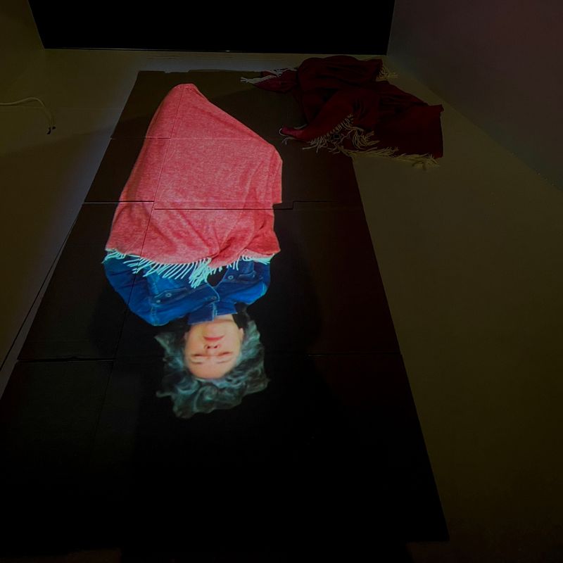 Annatina Graf. ANOTHER WORLD. 2021. Videoinstallation im Viewer des Kunstvereins Solothurn, Amthausplatz Solothurn. Januar bis März 2022.