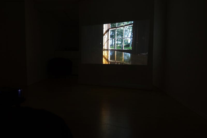 Hidden Beauty, video installation @ kabinett Zürich 2018