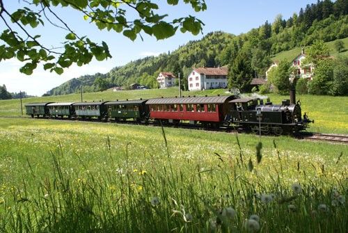 DVZO Dampfbahn-Verein Zürcher Oberland