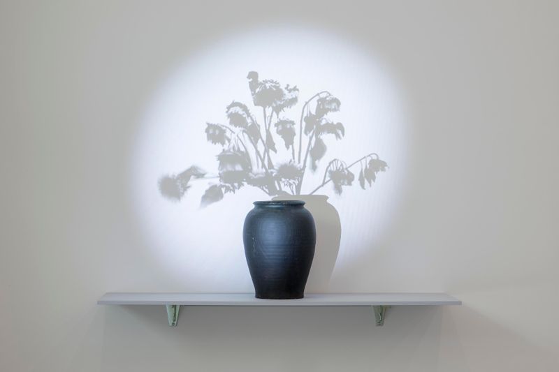 Ursula Palla - Sunflowers 2, 2013/14 Mehr Licht. Video in der Kunst, Aargauer Kunsthaus, 2026