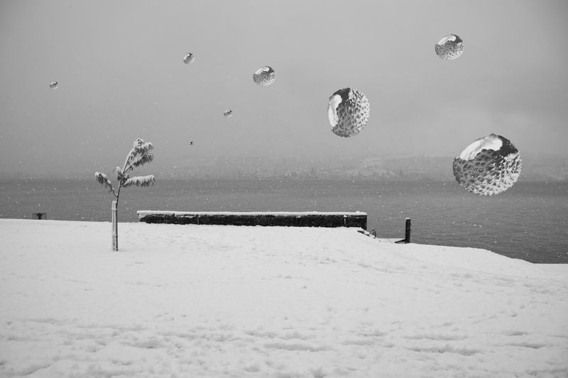 Invasion/Thalwil Seepromenade I
