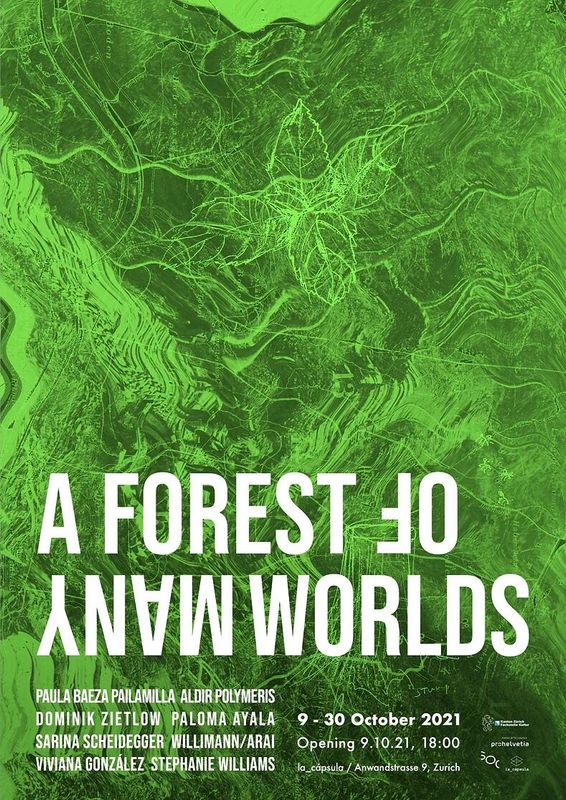 A Forest of Many Worlds (9.10.-30.10.2021)