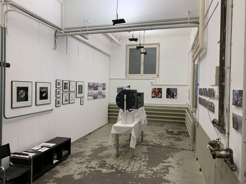 Impressionen der Ausstellung, der Bilder und Installationen
