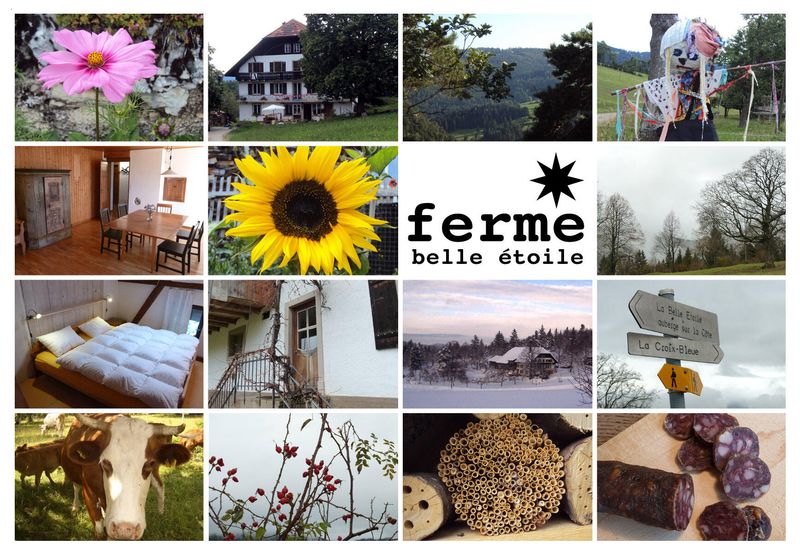 Logo und Karten für Biohof "ferme belle étoile", Jura
