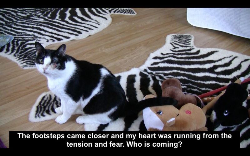 ©Katalin Tesch Screenshot.