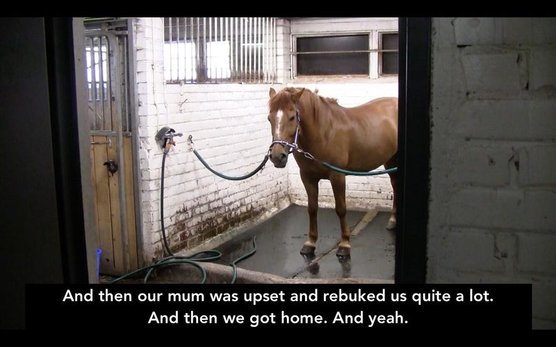 ©Katalin Tesch Screenshot.