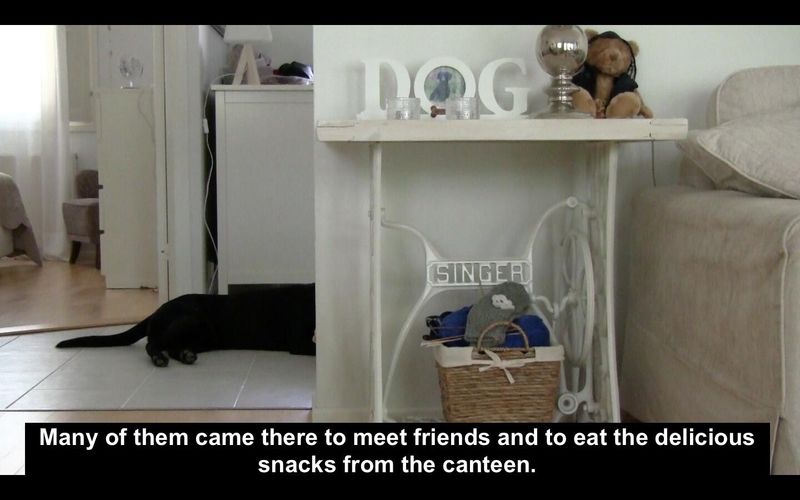 ©Katalin Tesch Screenshot.