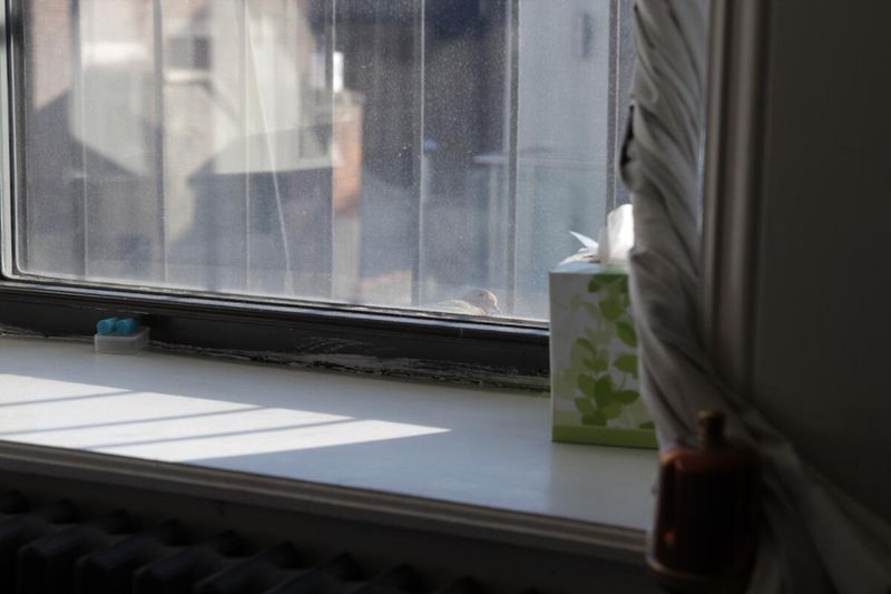 ©Katalin Tesch Photo from the series.