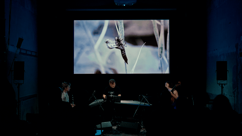 decoder ensemble: Carola Schaal, Leopold Hurt, Sonja Lena Schmid