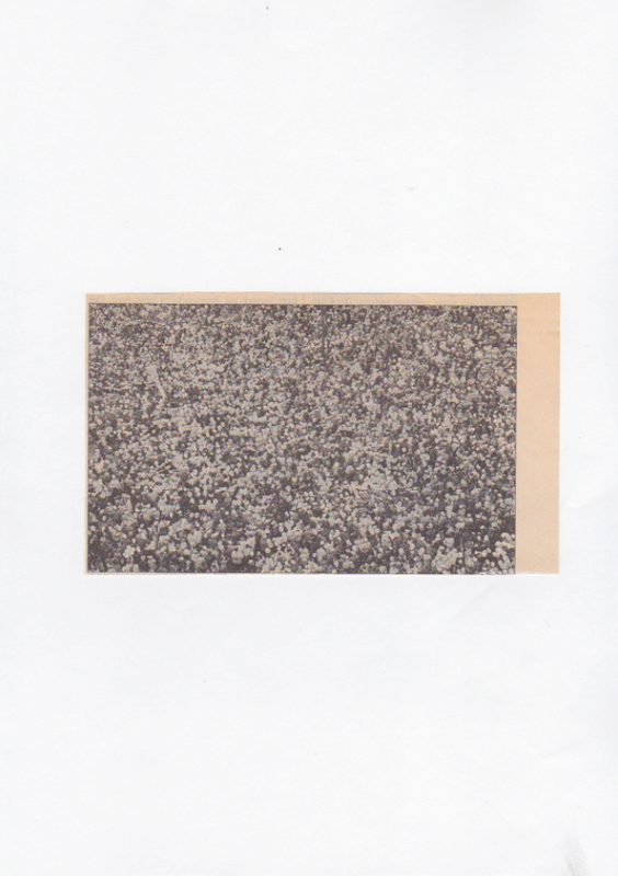 Excerpt Large Group of Bodies