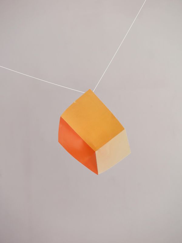 Untitled (4546-1) Inkjet, 42 x 29,7 cm
Edition 1/5