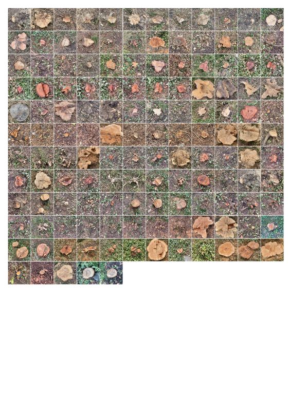 Dummie, Inkjet 102 x 72cm