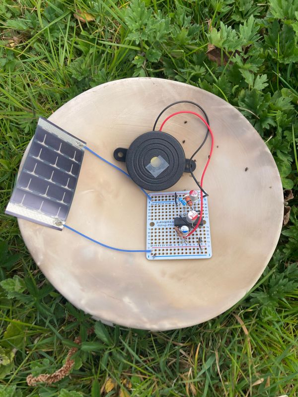 Christoph Brünggel As Yet Untitled (Circular Energies), Detail