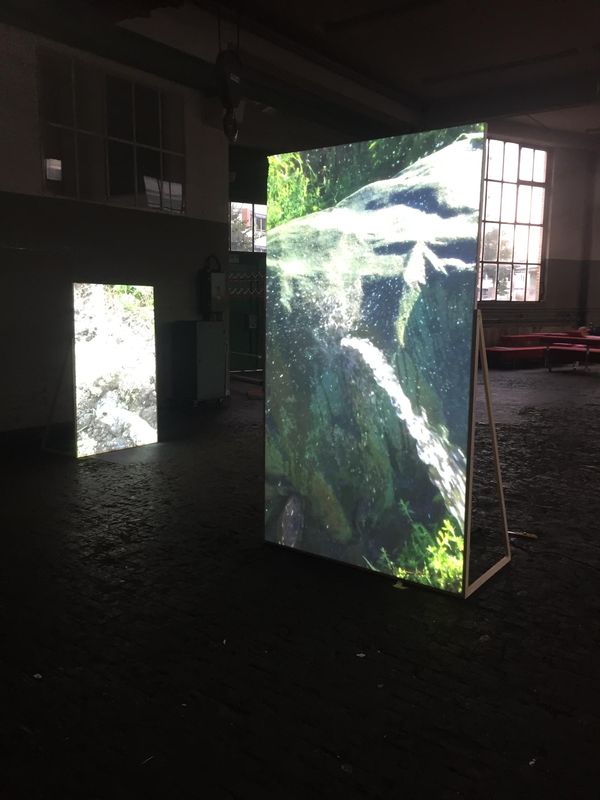 Tom Menzi, Untitled (gleitenrollenwerfen) 2022 Excerpts aus Videosammlung, Zweikanal HD- Video/Audio, 21‘