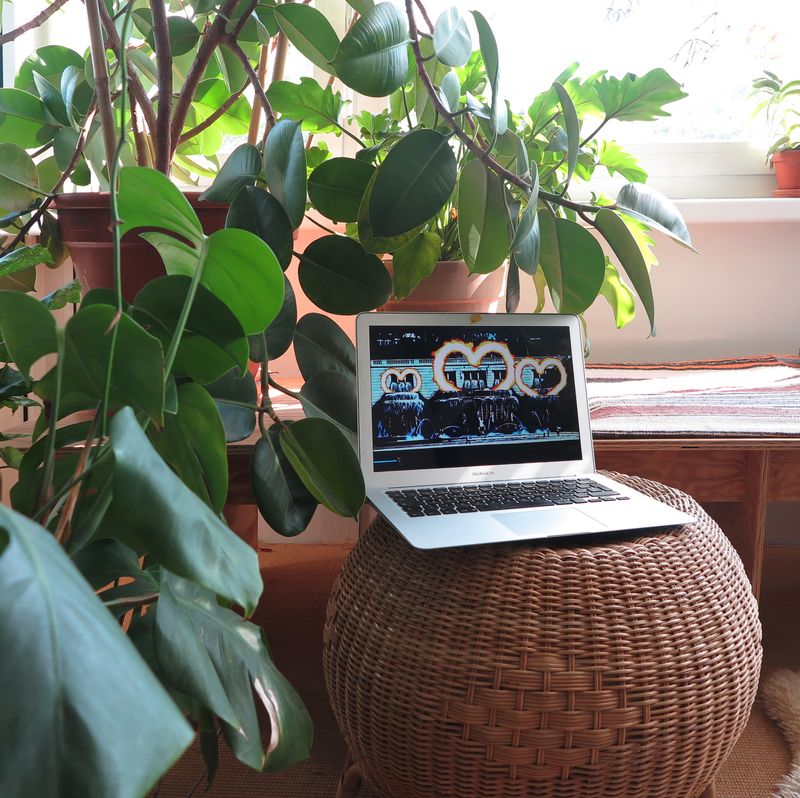 Pablo Walser, Die Abwesenheit der Liebe/The absence of love, 2019, HD Video, 45:33