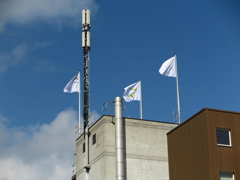 Untitled (Ye--3 Mousedrawings), Was nützt ––– – in Gedanken, Manegg, Zürich, 2019