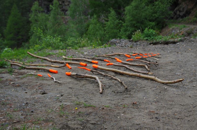 Twingi LandArt // Landschaftpark Binntal