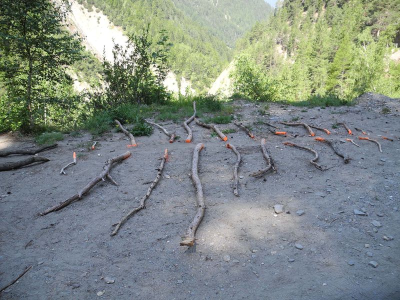 TERRA CIRCOLARE, situation 2019, July 24th, Installation in situ, footage branches, paint, TWINGI LandArt 2019 a collaboration of Gabriella Disler,Basel & Franziska Lauber, Bern