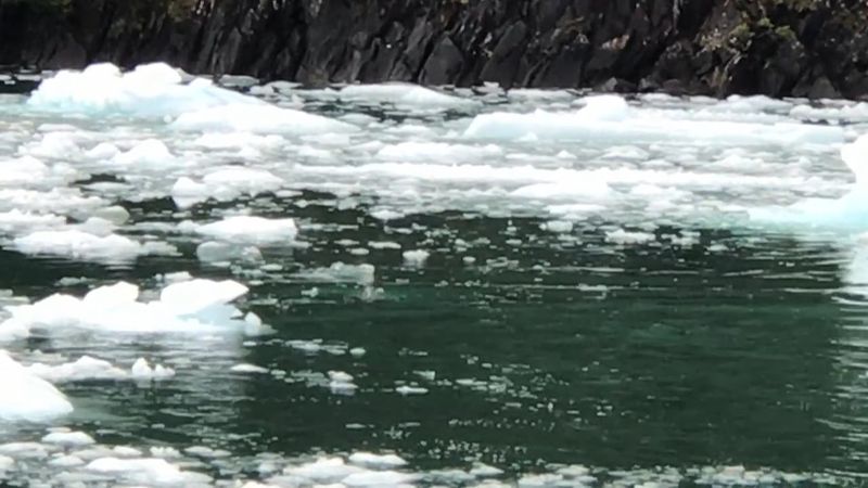 Glaciares Patagonia