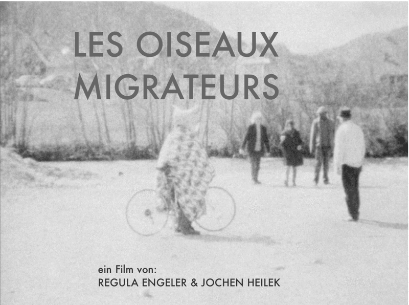 DVD - Les oiseaux migrateurs