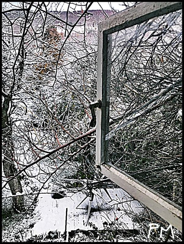 Pedro Meier Fensterausblick Ateliergarten Erster Schnee 2023 Niederbipp. Foto Art by Pedro Meier Artist & Writer, Visarte, Künstlerlexikon SIKART Zürich