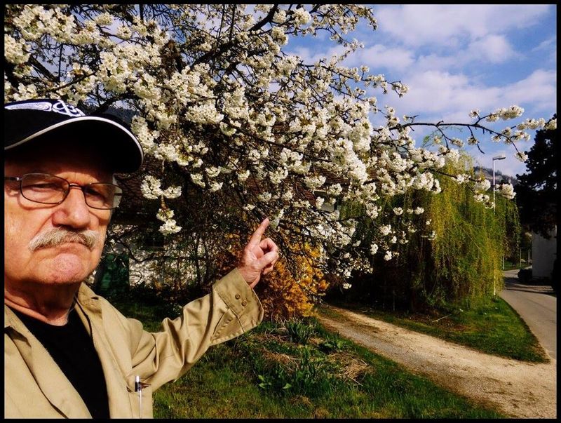 Pedro Meier Blühender Kirschbaum Ateliergarten Selbstportrait by Pedro Meier Artist & Writer Werkstatt für potentielle Literatur OuLiPo Niederbipp Oberaargau, Lexikon AdS Autoren Schweiz Berner Schriftsteller BSV