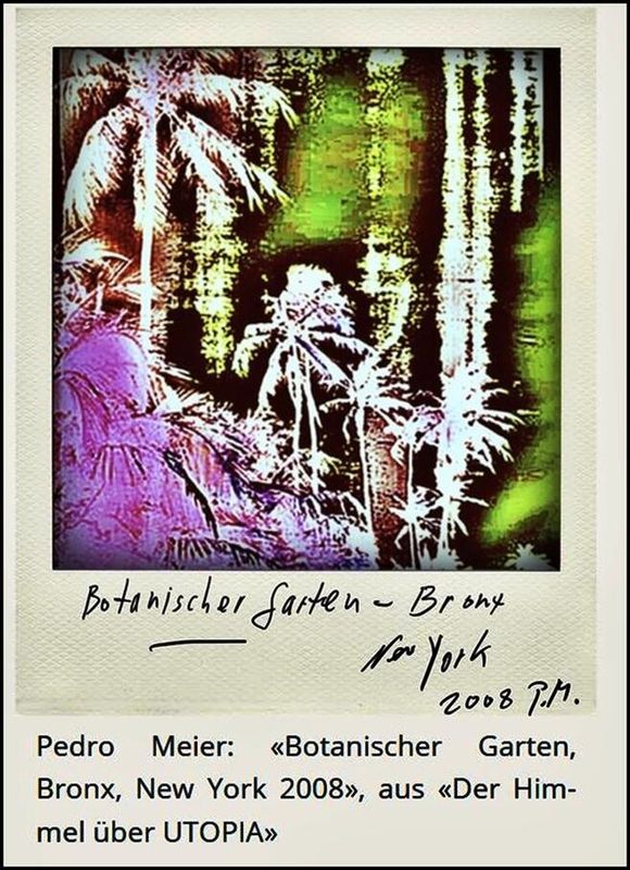 Pedro Meier aus – »Der Himmel über UTOPIA« – Gedichte und Polaroids – Botanischer Garten Bronx, New York, Polaroid, Caracol Verlag 2024, Pedro Meier Multimedia Artist Niederbipp, Oberaargau, Jurasüdfuss, Kunsthalle Olten, Autorenlexikon AdS Schweiz *
 https://caracol-verlag.ch/books/der-himmel-ueber-utopia/
*
https://caracol-verlag.ch/authors/pedro-meier/
*
https://de.wikipedia.org/wiki/Pedro_Meier
*