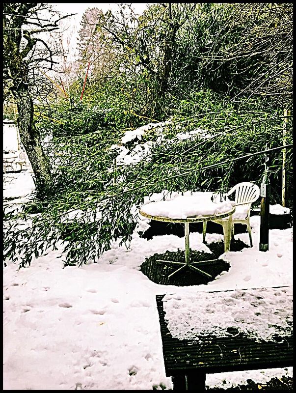 Pedro Meier – Winter Haiku – Eingeschneiter Bambus in der Hofstatt. – Der Schnee drückt den Bambus zu Boden. Doch der Bambus ist sehr elastisch und wird sich demnächst wieder Aufrichten – Ein trüber Tag – Einsam im Nebel wandern – Atelierhaus-Garten, Skulpturenpark, Niederbipp, Jurasüdfuss, Oberaargau – Chronik des Augenblicks – Foto 30.12.2024 – Serendipity & Gesamtkunstwerk *
https://de.wikipedia.org/wiki/Pedro_Meier
Pedro Meier – Wikipedia
*