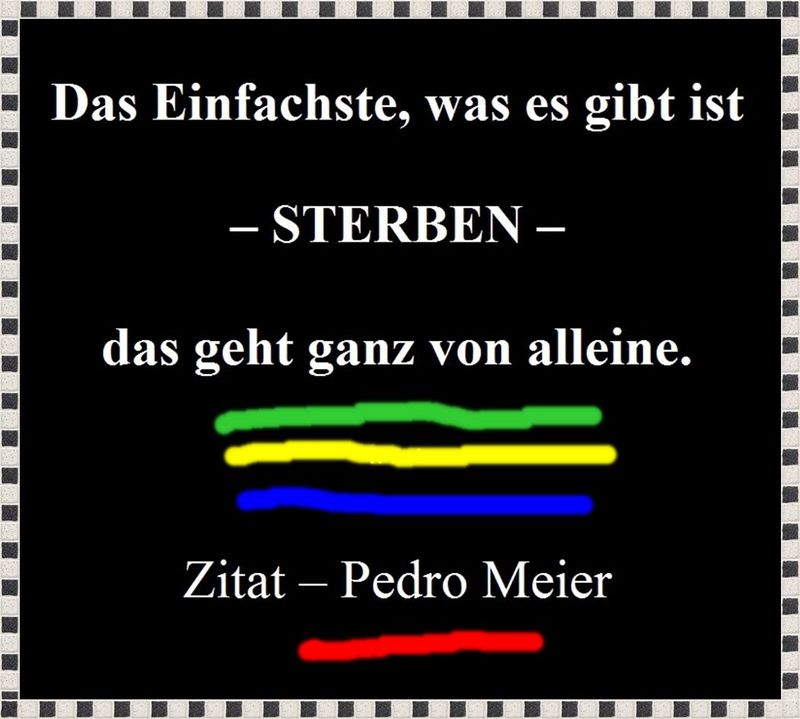 Pedro Meier Zitat – » Das Einfachste, was es gibt ist – STERBEN – das geht ganz von alleine. « Auf – 2025 Archiv Pedro Meier Schriftsteller, Multimedia Artist, Künstlerlexikon SIKART Zürich – www.literaturport.de/lexikon/pedro-meier/ *
https://de.wikipedia.org/wiki/Pedro_Meier – Wikipedia
*