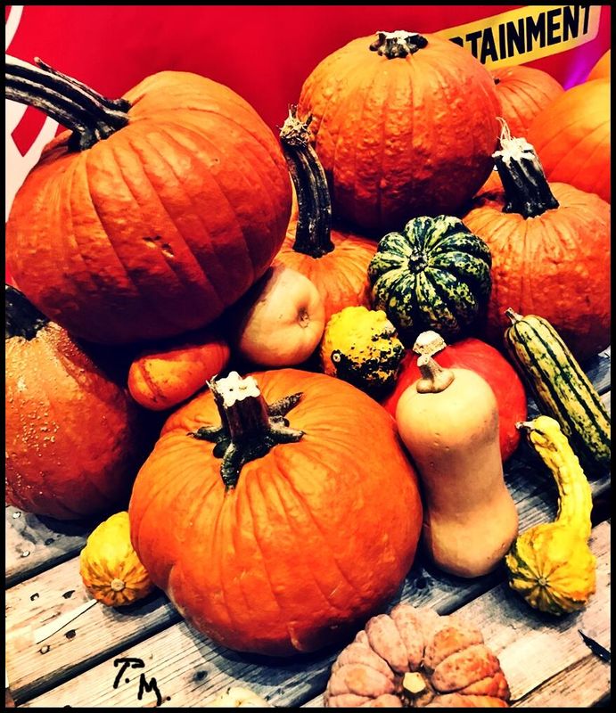 Pedro Meier, Kürbisse Halloween, Unterwegs, On The Road, Food Festival HB Zürich, Pedro Meier Schriftsteller, Multimedia Artist, Conceptual Art, Gesamtkunstwerk, Chronik des Augenblicks, Enzyklopädie der Einsamkeit, Encyclopedia of Loneliness, FLUXUS DADA – www.literaturport.de/lexikon/pedro-meier/ *
https://de.wikipedia.org/wiki/Pedro_Meier – Wikipedia
*