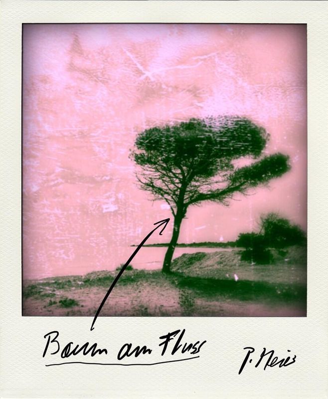 Pedro Meier, Baum am Fluss, Mark Brandenburg, Berlin, Polaroid Foto 2005 aus Lyrikband – Der Himmel über UTOPIA, Caracol Verlag, Chronik des Augenblicks, Pedro Meier Lyriker, Schriftsteller, Multimedia Künstler, Conceptual Art, Gesamtkunstwerk, Film Diary – www.literaturport.de/lexikon/pedro-meier/ *
https://de.wikipedia.org/wiki/Pedro_Meier – Wikipedia
*
