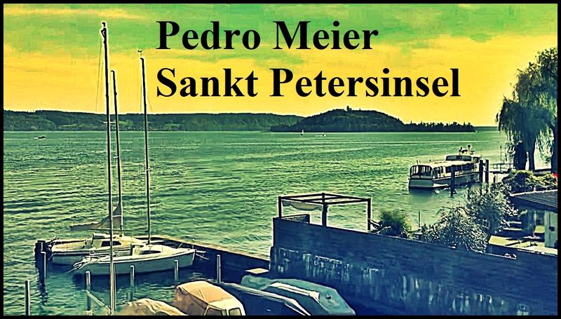 Pedro Meier Film Diary Sankt Petersinsel Bielersee, Île Saint-Pierre, Rousseau, W. G. Sebald, Robert Walser, Goethe, Albert Einstein, Pedro Meier Artist & Writer Künstlerlexikon SIKART Zürich