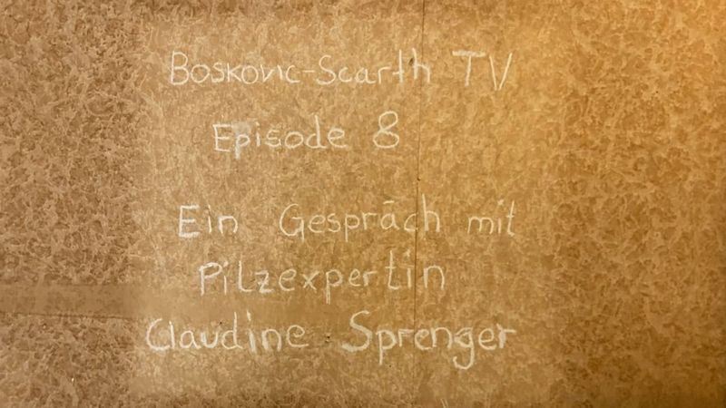 BSTV Ep8 Ein Gespräch mit Pilzexpertin Claudine Sprenger