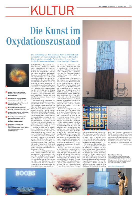 Die Kunst Im Oxydationszustand_Dezemberausstellung 2008_Kunstmuseum Winterthur_Mario Lüscher_Der Landbote_Donnerstag 11. Dezember 2008