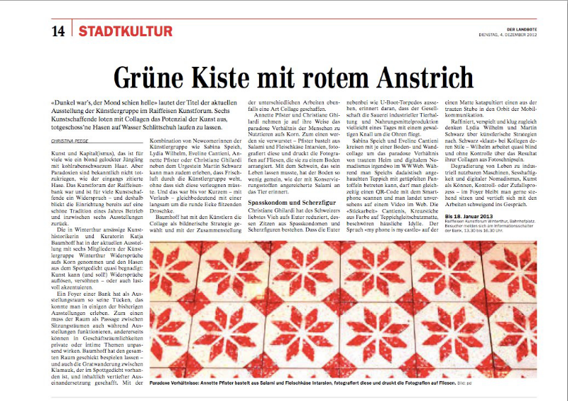 Grüne Kiste mit rotem Anstrich, Christina Peege, Der Landbote 4. Dez. 2012